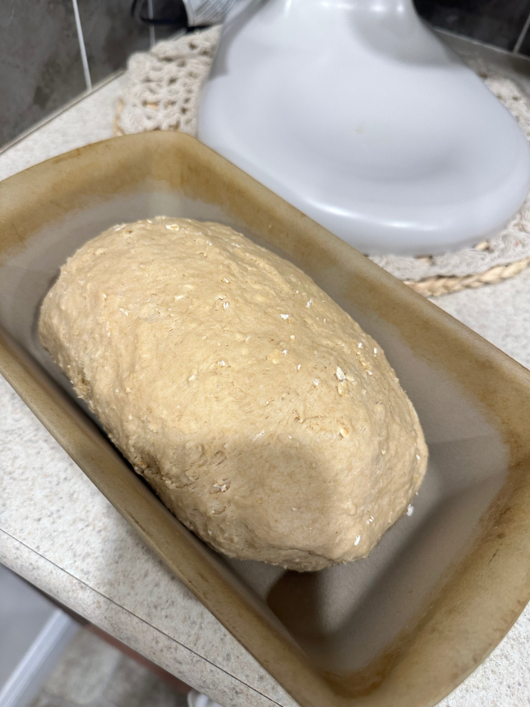 bread dough in loaf pan before second rise
