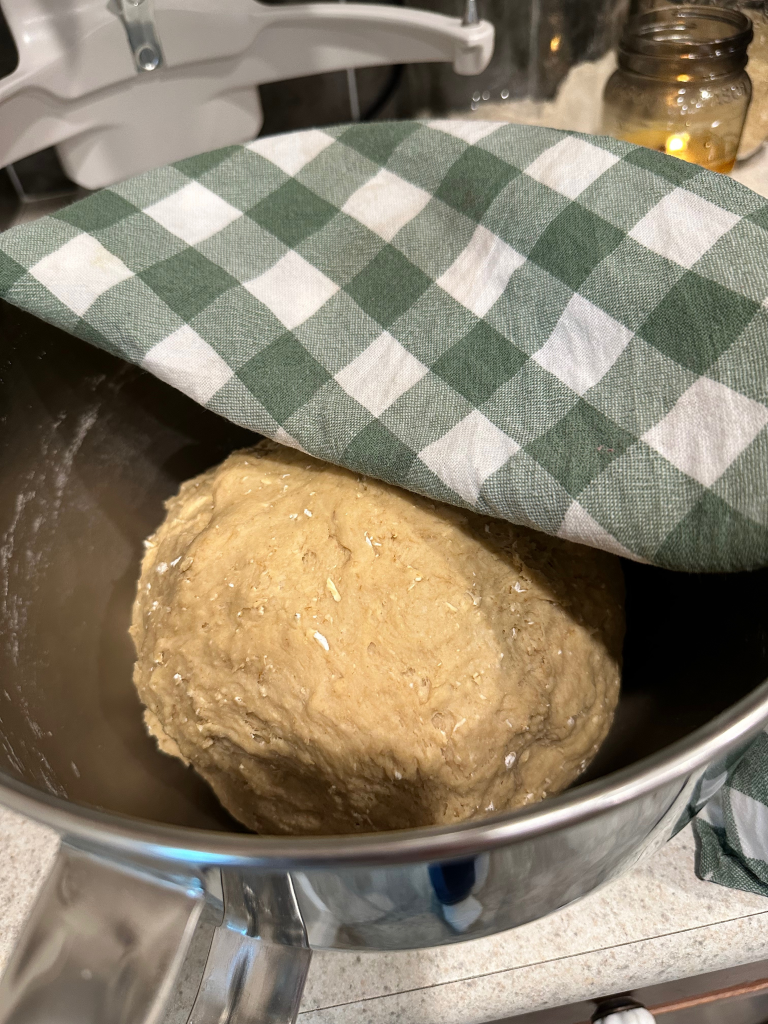 bread dough formed into ball partially covered with towel before first rise
