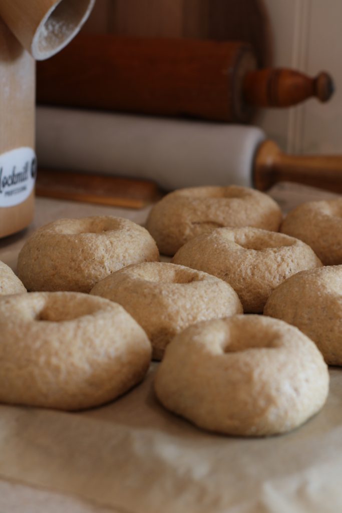 Bagels after second rise setting on parchment paper on counter beside rolling pens, cutting boards and grain mill